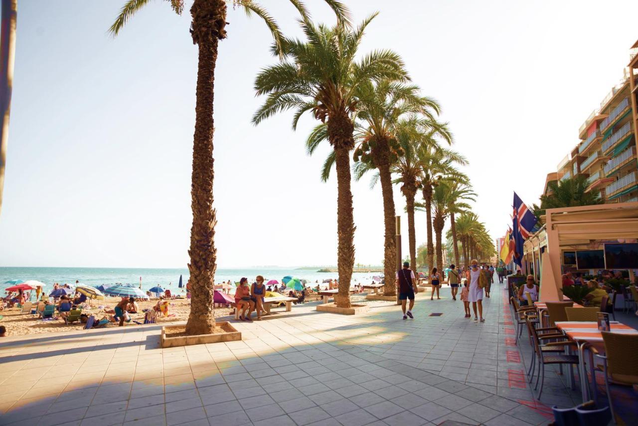 Holiday Studio Jardin Playa 또레비에하 외부 사진